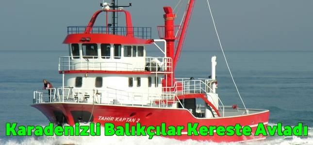 Karadenizli Balıkçılar Kereste Avladı