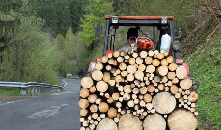 Karaağaç Halkı Kışlık Odun Verilmemesinden Şikayetçi